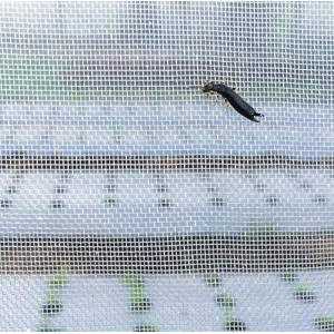 Lưới chống côn trùng Thái Lan 50 Mesh